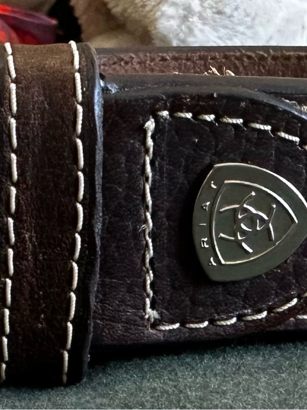 Ariat Brown Leather Belt with Silver Shield Emblem